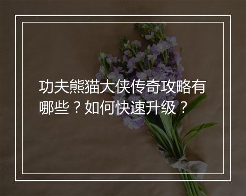 功夫熊猫大侠传奇攻略有哪些？如何快速升级？