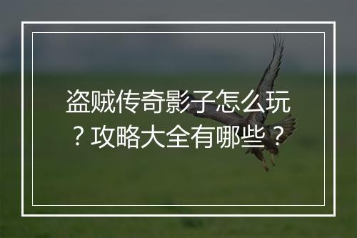 盗贼传奇影子怎么玩？攻略大全有哪些？