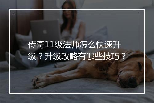 传奇11级法师怎么快速升级？升级攻略有哪些技巧？