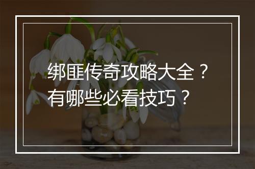 绑匪传奇攻略大全？有哪些必看技巧？
