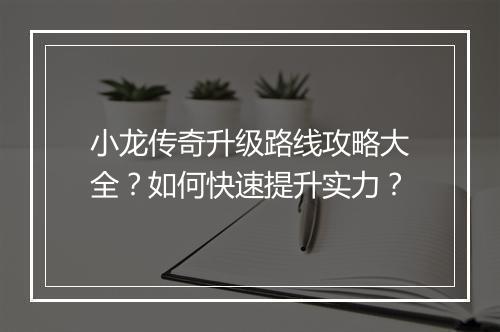 小龙传奇升级路线攻略大全？如何快速提升实力？