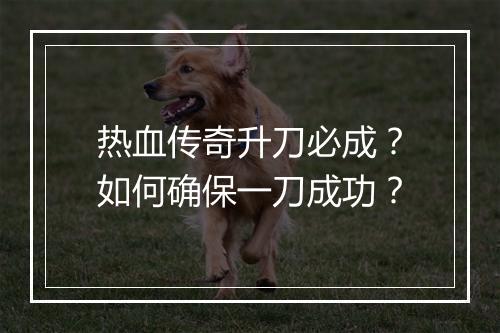 热血传奇升刀必成？如何确保一刀成功？