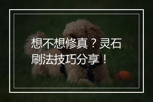想不想修真？灵石刷法技巧分享！