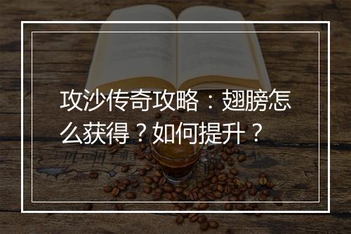 攻沙传奇攻略：翅膀怎么获得？如何提升？