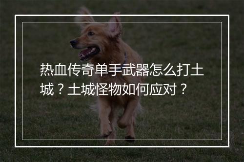 热血传奇单手武器怎么打土城？土城怪物如何应对？