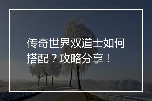 传奇世界双道士如何搭配？攻略分享！