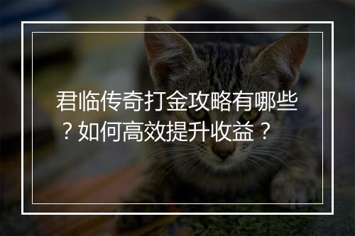 君临传奇打金攻略有哪些？如何高效提升收益？