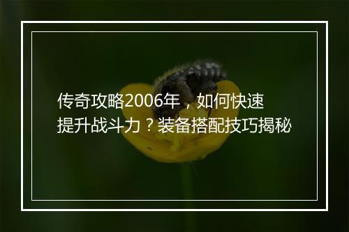 传奇攻略2006年，如何快速提升战斗力？装备搭配技巧揭秘