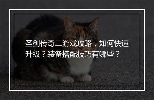 圣剑传奇二游戏攻略，如何快速升级？装备搭配技巧有哪些？