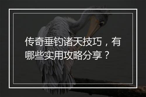 传奇垂钓诸天技巧，有哪些实用攻略分享？