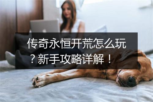 传奇永恒开荒怎么玩？新手攻略详解！