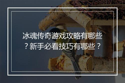 冰魂传奇游戏攻略有哪些？新手必看技巧有哪些？