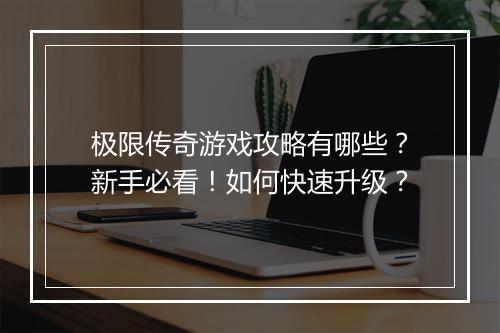 极限传奇游戏攻略有哪些？新手必看！如何快速升级？