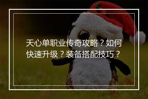 天心单职业传奇攻略？如何快速升级？装备搭配技巧？
