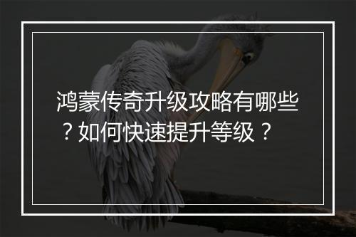 鸿蒙传奇升级攻略有哪些？如何快速提升等级？