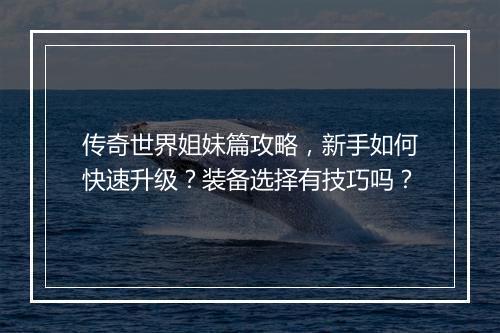 传奇世界姐妹篇攻略，新手如何快速升级？装备选择有技巧吗？