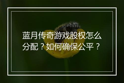 蓝月传奇游戏股权怎么分配？如何确保公平？