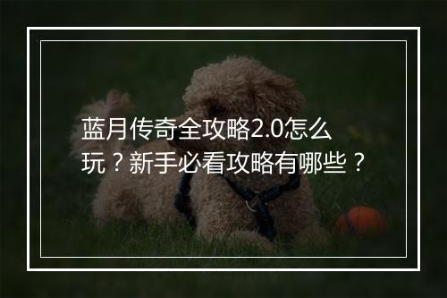 蓝月传奇全攻略2.0怎么玩？新手必看攻略有哪些？