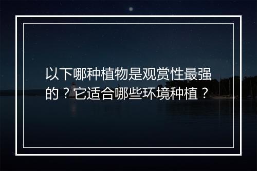 以下哪种植物是观赏性最强的？它适合哪些环境种植？