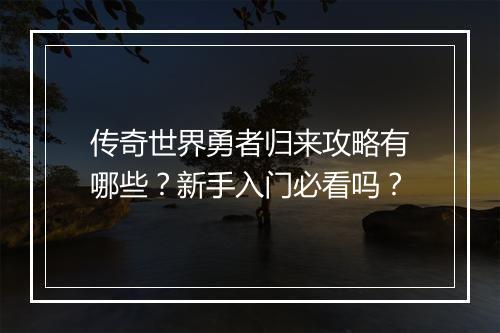 传奇世界勇者归来攻略有哪些？新手入门必看吗？
