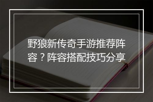 野狼新传奇手游推荐阵容？阵容搭配技巧分享
