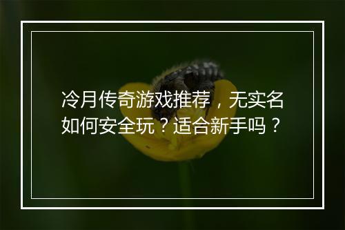 冷月传奇游戏推荐，无实名如何安全玩？适合新手吗？