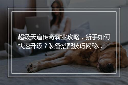 超级天道传奇霸业攻略，新手如何快速升级？装备搭配技巧揭秘？