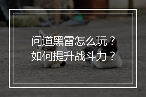 问道黑雷怎么玩？如何提升战斗力？