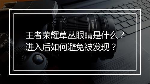 王者荣耀草丛眼睛是什么？进入后如何避免被发现？
