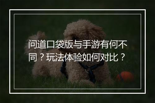 问道口袋版与手游有何不同？玩法体验如何对比？