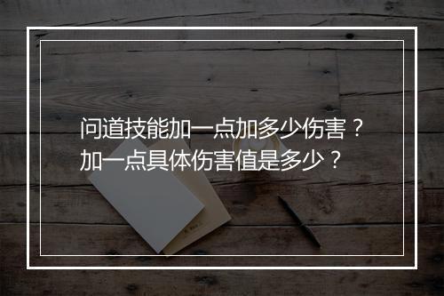 问道技能加一点加多少伤害？加一点具体伤害值是多少？