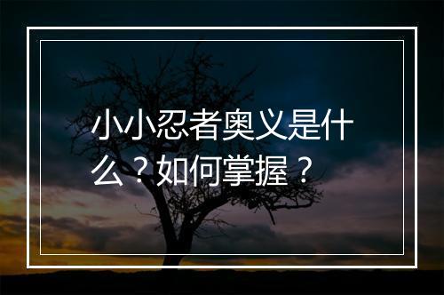 小小忍者奥义是什么？如何掌握？