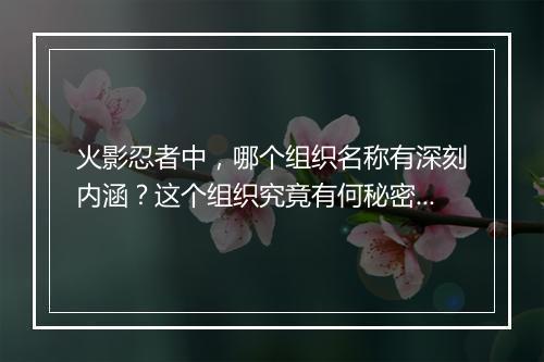火影忍者中，哪个组织名称有深刻内涵？这个组织究竟有何秘密？