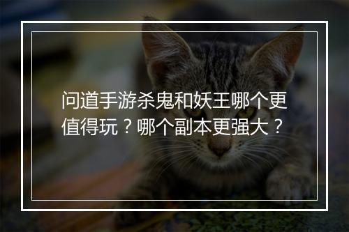 问道手游杀鬼和妖王哪个更值得玩？哪个副本更强大？