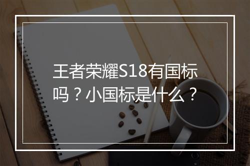 王者荣耀S18有国标吗？小国标是什么？