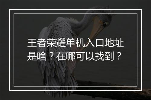 王者荣耀单机入口地址是啥？在哪可以找到？