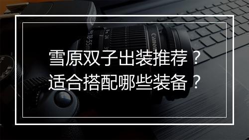 雪原双子出装推荐？适合搭配哪些装备？