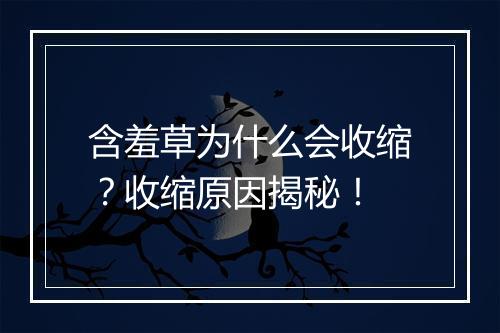 含羞草为什么会收缩？收缩原因揭秘！