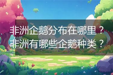 非洲企鹅分布在哪里？非洲有哪些企鹅种类？