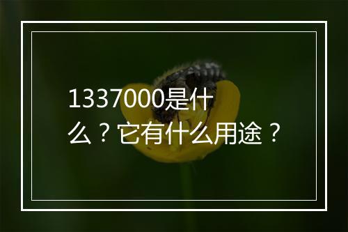 1337000是什么？它有什么用途？