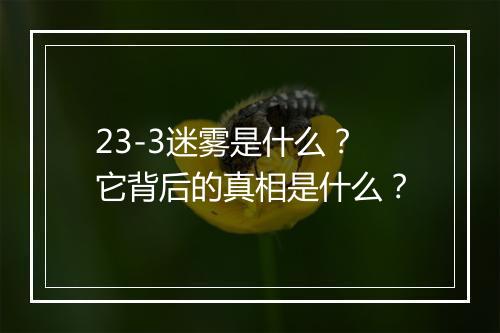 23-3迷雾是什么？它背后的真相是什么？