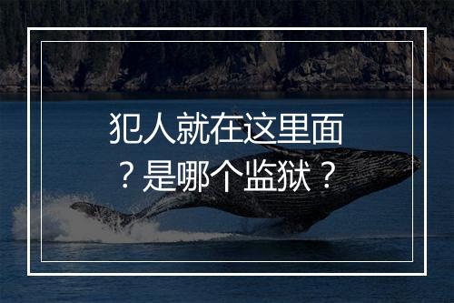 犯人就在这里面？是哪个监狱？