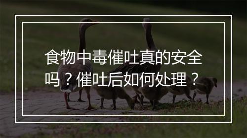 食物中毒催吐真的安全吗？催吐后如何处理？
