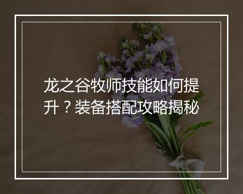 龙之谷牧师技能如何提升？装备搭配攻略揭秘
