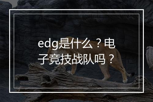 edg是什么？电子竞技战队吗？