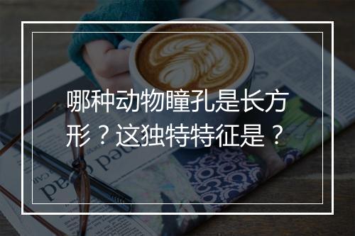 哪种动物瞳孔是长方形？这独特特征是？