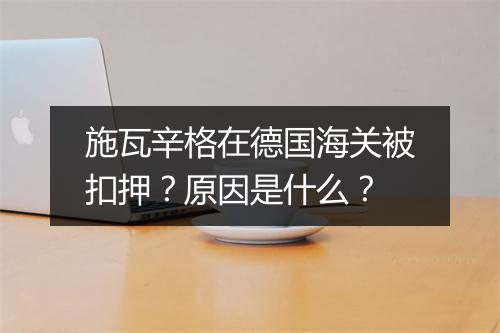 施瓦辛格在德国海关被扣押？原因是什么？