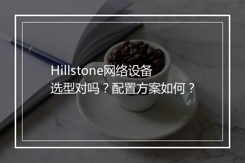 Hillstone网络设备选型对吗？配置方案如何？