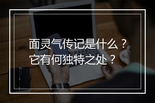 面灵气传记是什么？它有何独特之处？