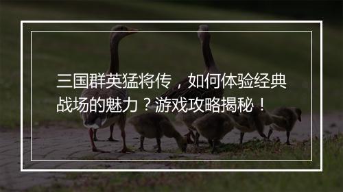 三国群英猛将传，如何体验经典战场的魅力？游戏攻略揭秘！